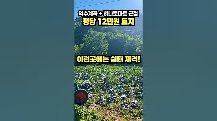 평당 12만원으로 장만하세요!