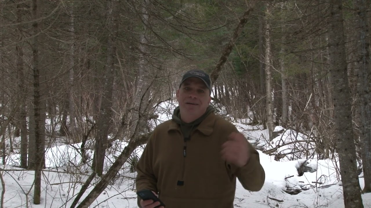 séquences d'appels en mp3