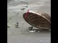 تعلم الوفى و الحب من أضعف كائنات يا صديقي مو كلمن رجال و يوقفلك وقت الشدة خلي بين عينك وفى صديقك