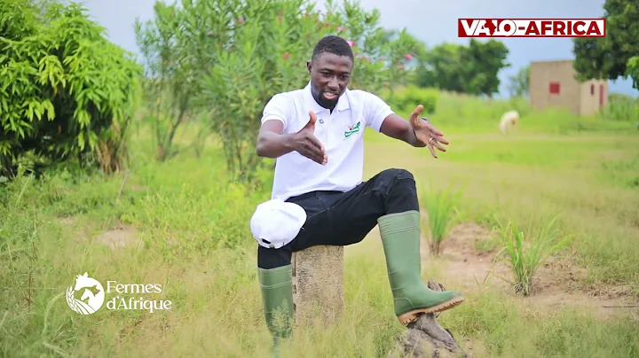 Fermes d’Afrique – Hermann Gouem, un modèle d’innovation agricole au Burkina Faso