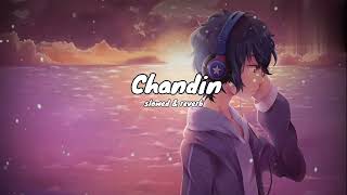 Best LOFI Song |Chandni|Slowed Reverb| Sachet Tandon| lofi | #sachettandon  #chandni  #bpraak
