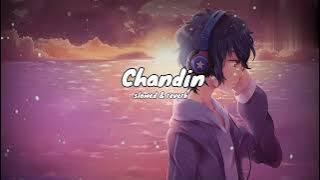 Best LOFI Song |Chandni|Slowed Reverb| Sachet Tandon| lofi | #sachettandon  #chandni  #bpraak
