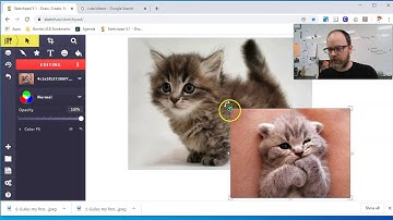 How To Add Pictures From the Internet into Sketch io
