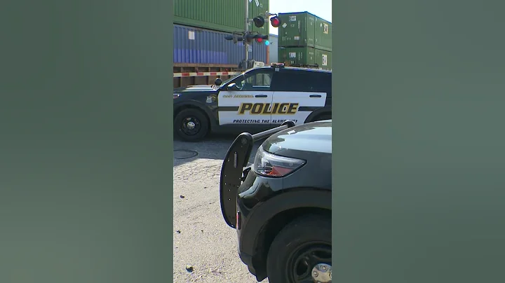 Woman walking along the train tracks was hit and killed, police say