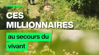 De riches entrepreneurs achètent des forêts pour les laisser à l’abandon • FRANCE 24