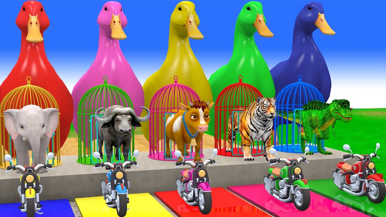 Long Slide Game with Cow Elephant Gorilla Hippopotamus Tiger 3d Animal Game Funny 3d Animals