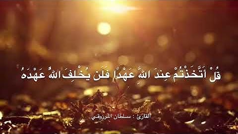 تلاوة خاشعة من سورة البقرة للقارئ : سلطان المرزوقي
