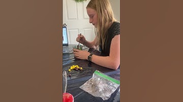 Eating our geology project - #homeschool