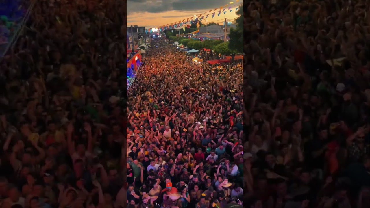 PINGO DA MEIO DIA 15 