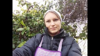 НАША ФЕРМА.Люблю животных!!!А вы? НАША ФЕРМА.Люблю животных!!!А вы?