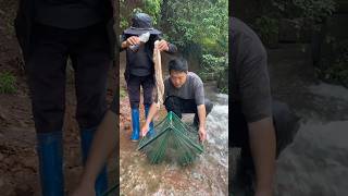 🦐🎣 Ultimate Foldable Fishing Trap Net! Catch Crabs 🦀 Eels 🐍 Lobsters 🦞 & More Like a Pro 💥🔥 #fish
