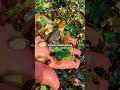Цветные стеклянные камни под ногами