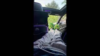 Free K Suave Type Beat - Haribo