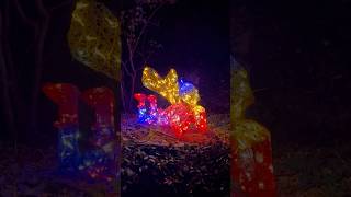 Descubre el Bosque Encantado de San Martín de Valdeiglesias 🕯️🌳 #madrid #niños #turismo