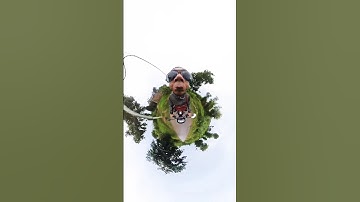 Insta 360 camera 😂😂 funny editing #automobile #funny #shorts #funnyediting #insta360 #dbdrider