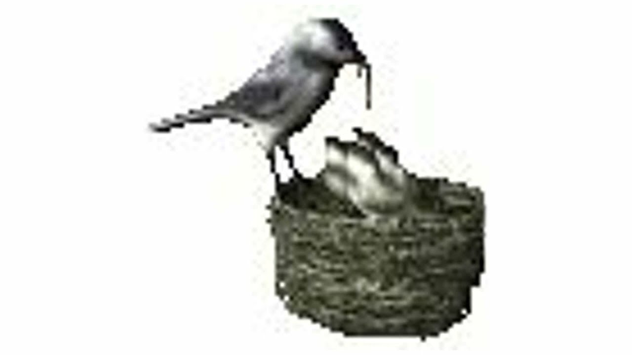 [2022] cade parker -  pillsplitter april​-​jul