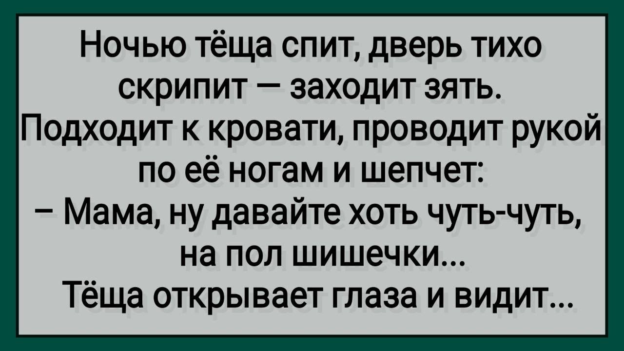 Волосатая теща смогла как следует попрыгать на стояке зятя Волосатая теща смогла как следует попрыгать на стояке зятя