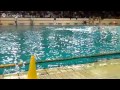 A1 Maschile: rivedi Como Nuoto - Albaro Nervi!
