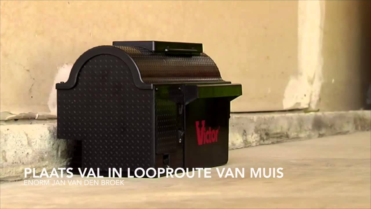 Victor M260 muizenval - YouTube