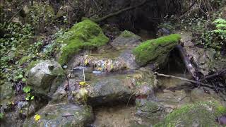 Cascata de Santiago dos Velhos - Bucelas 08-11-2020