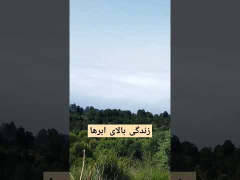 از جنگل مه آلود گذشتیم هوا آفتابی شد از بالابه پایین که نگاه میکردی همش ابر بود درازنو