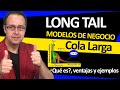 📈👍 LONG TAIL, modelo de negocio de COLA LARGA [Qué es, VENTAJAS y algún ejemplo de Modelo Long Tail]