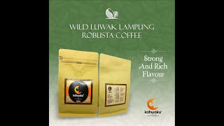 kopi luwak liar