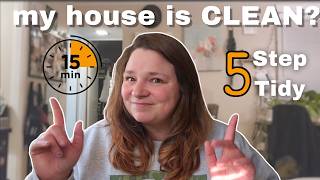 Celebrity Conquering Weeknight OVERWHELM with KC Davis: 5 Things Tidying Method | Weeknight Vlog Net Worth