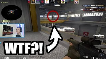 the new ragdoll update is something else man...