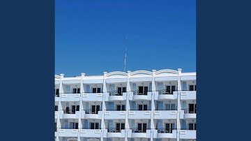 Debonair Working by the Pool