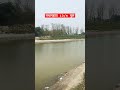 Pathlahwa Gandak River Jhulnipur Maharajganj #shorts #pathlahwa #jhulnipur #gandakriver #bahuar