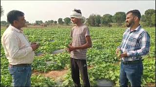 Best Cuber Veraity Nongwoo Seed Cuber Kajal