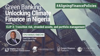 Green Banking in Nigeria | Clip 3: Transition risk, stranded assets, and portfolio management
