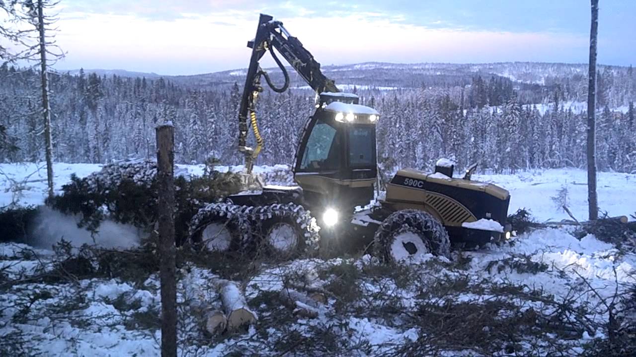 Avverkning i Getberg