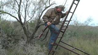 Hunt for a Huge 8 Pointer at Rancho Alto Bonito - Hunting Mexico