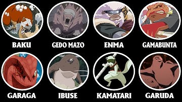 Tất Cả Cả Những Thú Triệu Hồi Trong Naruto Và Boruto Giải Thích Trong 21 Phút