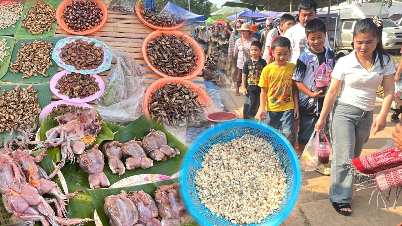 ไข่มดแดง หนูนา อาหารตามฤดูกาล #ตลาดนัดไทย-ลาว บ้านหนาด จ.นครพนม #สาวลาว #เลาะตลาดตลี 