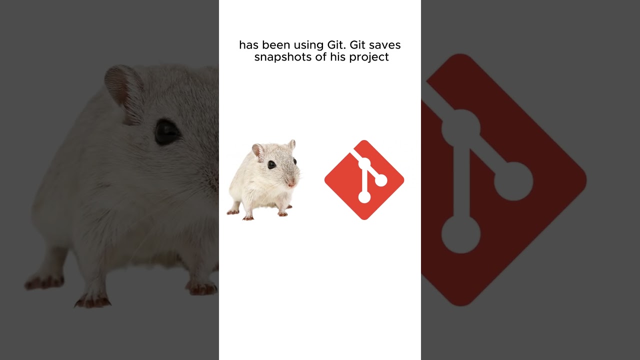 What is Git - Explained by Hamsters #git #coding #dev