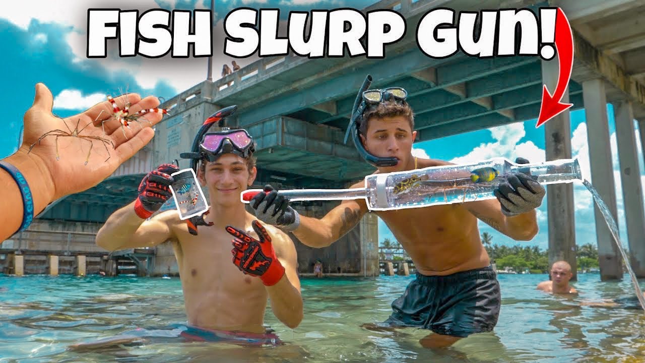 SLURP GUN Catches AQUARIUM FISH And INVERTEBRATES!! YouTube