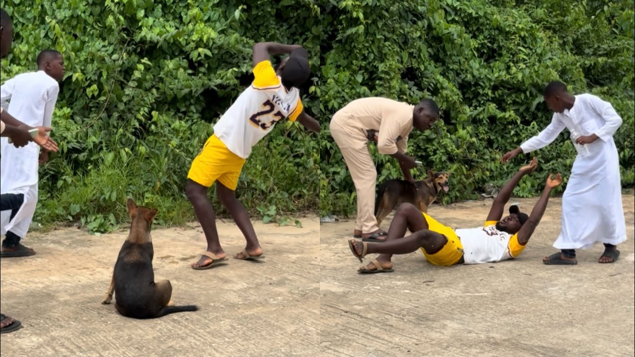 Молодой пророк «Отец» превратил ее в собаку за то, что она разоблачила его перед камерой