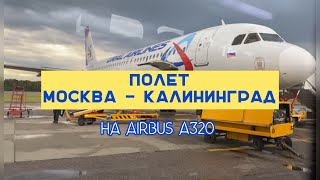 Полёт Москва - Калининград/авиакомпания Уральские авиалинии/Домодедово - Храброво/Airbus A 320