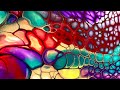 (5) Rainbow Colors Sheleeart Swipe Technique/Fluid Art /Eコース日本語字幕♥️/アクリルポーリング ポーリングアート フルイドアート