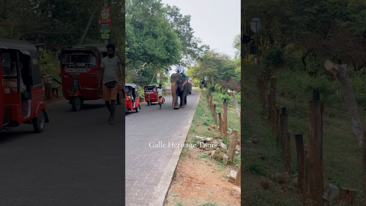 Galle Heritage Tours 🇱🇰 
