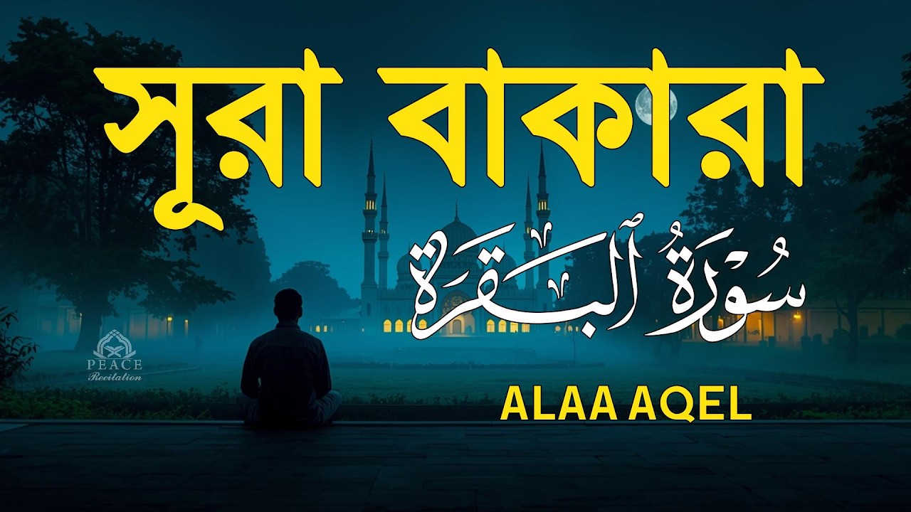 ঘরের উন্নতির জন্য সূরা বাকারা প্রতিদিন শুনুন । Surah Al Baqarah Full Quran Recitation | Alaa Aqel