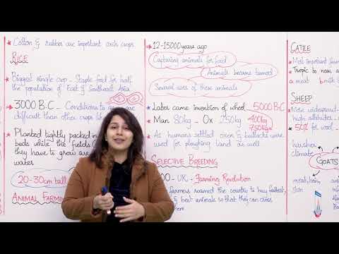 Class 8 - Social Studies - Chapter 4 - Lecture 1 Agriculture And Main Crops - Allied Schools