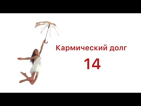 Кармический долг 14