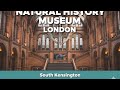 Step Inside the Natural History Museum – Relaxing London Walk Tour with Lo-fi Vibes