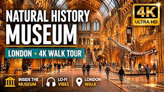 Step Inside the Natural History Museum β Relaxing London Walk Tour with Lo-fi Vibes