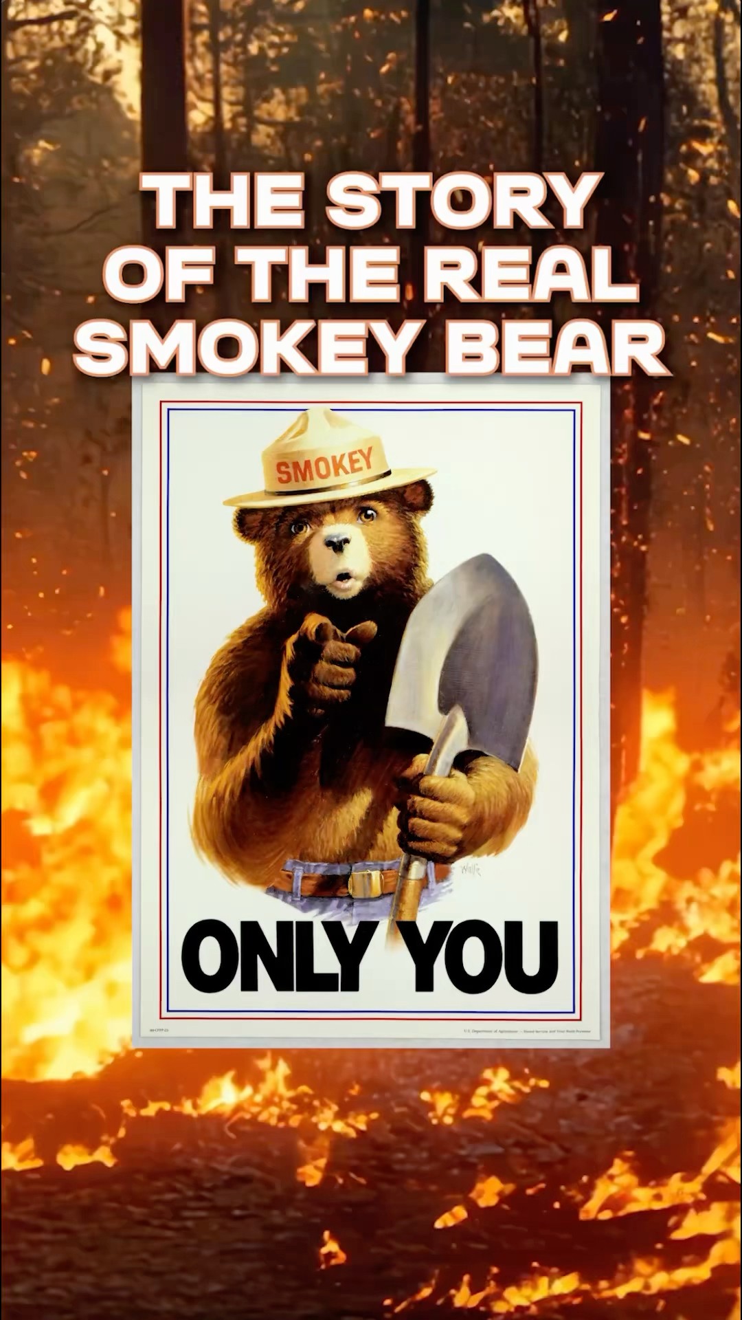 Smokey Bear Was a REAL Bear - YouTube