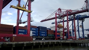 Hạ Container từ tàu biển xuống cảng Cát Lái (Lowering containers from ships to Cat Lai port)